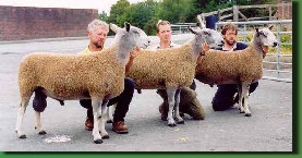 beechtreefarm002002.jpg