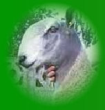 beechtreefarm005003.jpg