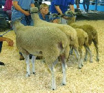 beechtreefarm006001.jpg