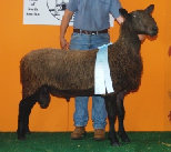 beechtreefarm006004.jpg