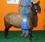 beechtreefarm006006.jpg