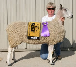 beechtreefarm006008.jpg