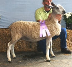 beechtreefarm006010.jpg