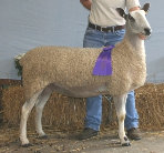 beechtreefarm006011.jpg