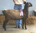 beechtreefarm006012.jpg