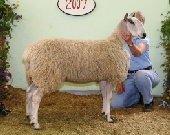 beechtreefarm006014.jpg