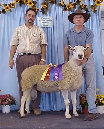 beechtreefarm007002.jpg