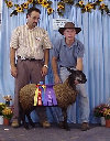 beechtreefarm007003.jpg