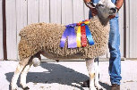 beechtreefarm007004.jpg