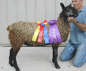 beechtreefarm007005.jpg