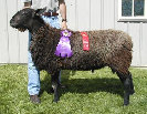 beechtreefarm007007.jpg