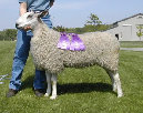 beechtreefarm007008.jpg