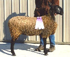 beechtreefarm007010.jpg