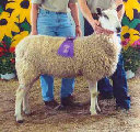 beechtreefarm007013.jpg