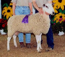 beechtreefarm007014.jpg