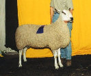 beechtreefarm007015.jpg