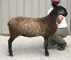 beechtreefarm008004.jpg