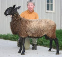 beechtreefarm008005.jpg