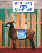 beechtreefarm008008.jpg