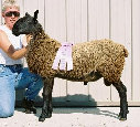 beechtreefarm008010.jpg