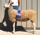 beechtreefarm008012.jpg