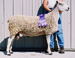 beechtreefarm008013.jpg