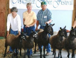 beechtreefarm009001.jpg
