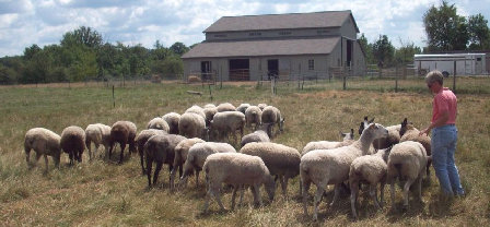 beechtreefarm015003.jpg