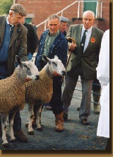 beechtreefarm020002.jpg