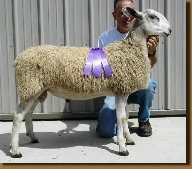 beechtreefarm020007.jpg