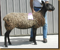 beechtreefarm021007.jpg
