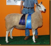 beechtreefarm022001.jpg