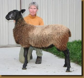 beechtreefarm022002.jpg