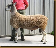 beechtreefarm022004.jpg