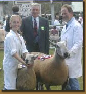 beechtreefarm023006.jpg